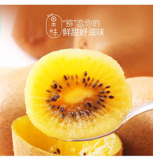 四川黃心獼猴桃 新鮮現(xiàn)摘，季節(jié)性批發(fā)優(yōu)選