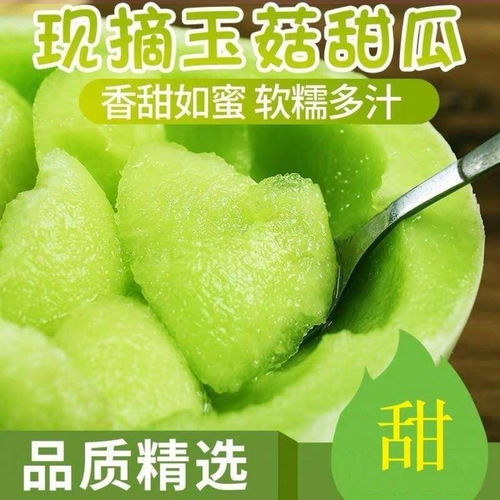 清甜爽脆，夏日瓜香——玉菇甜瓜、哈密瓜、羊角蜜當(dāng)季批發(fā)指南